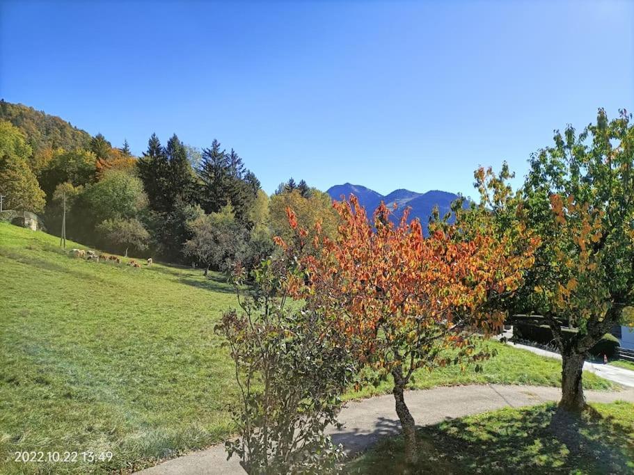 Gite Coeur De Haute-Savoie Viuz-en-Sallaz Exteriör bild