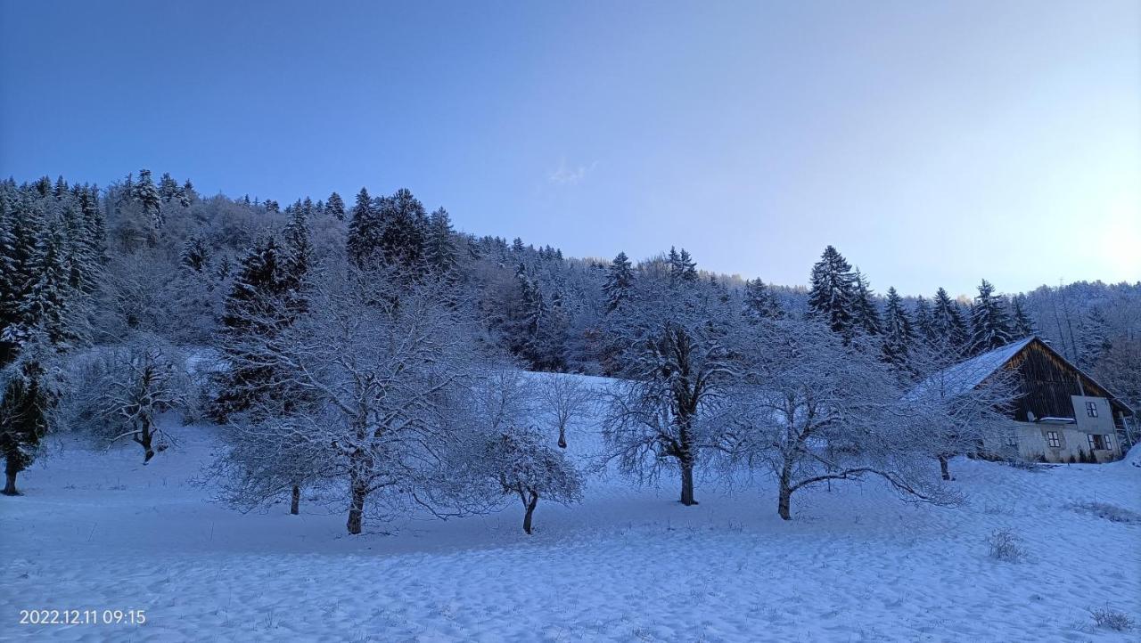Gite Coeur De Haute-Savoie Viuz-en-Sallaz Exteriör bild