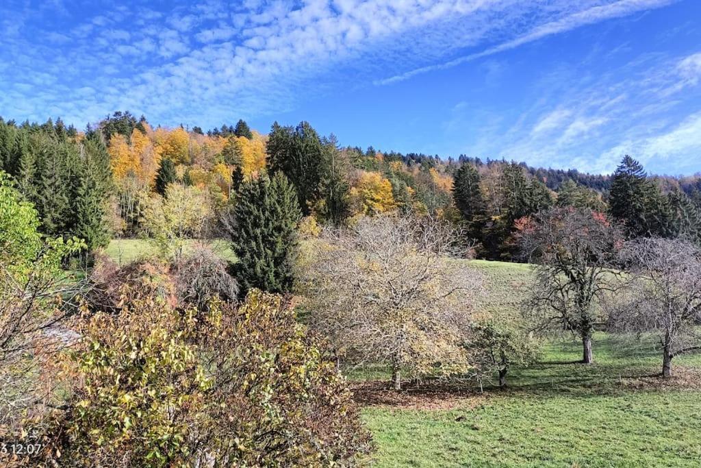 Gite Coeur De Haute-Savoie Viuz-en-Sallaz Exteriör bild
